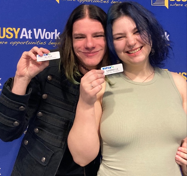 Blade and Gabby are now working at the RSPCA Black Cat Café